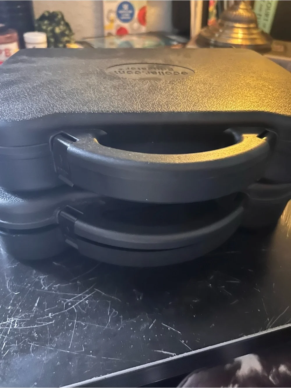 E-Collar Orange Remote Dog Trainer with Case